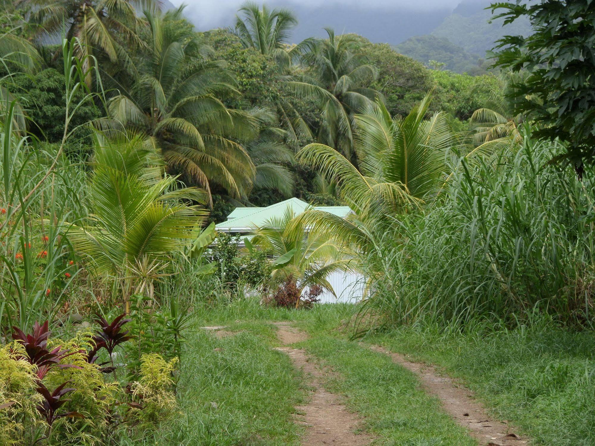 Ferienwohnungen Holder La Plaine Bagian luar foto